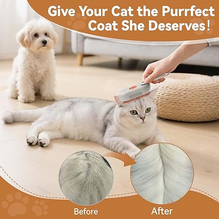Steam Grooming Brush for Cats and Dogs